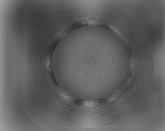 X0000073830709200608101203