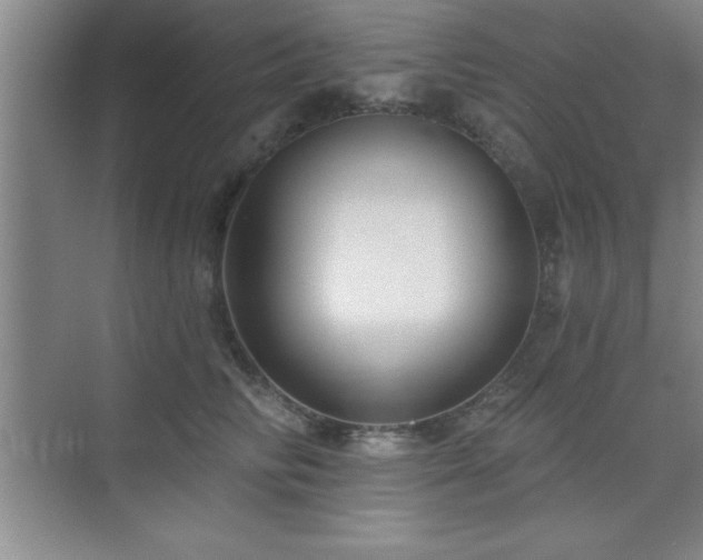 X0000073830710200608101203