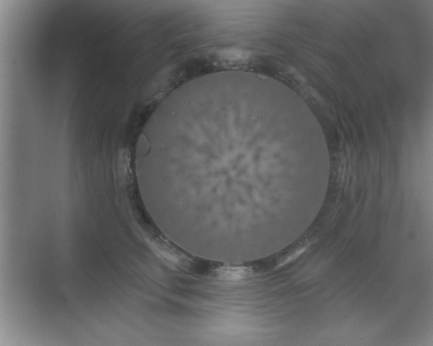 X0000073830711200608101203