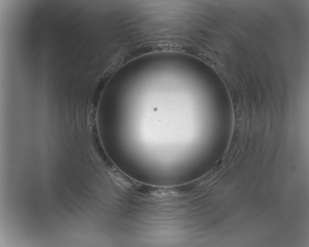 X0000073830712200608101203