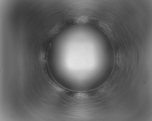 X0000073830714200608101203