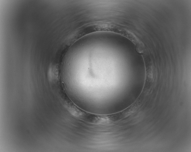 X0000073830715200608101203