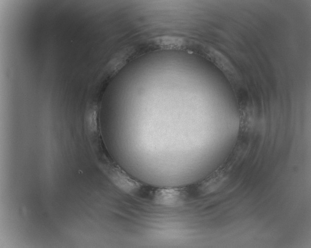 X0000073830717200608101203