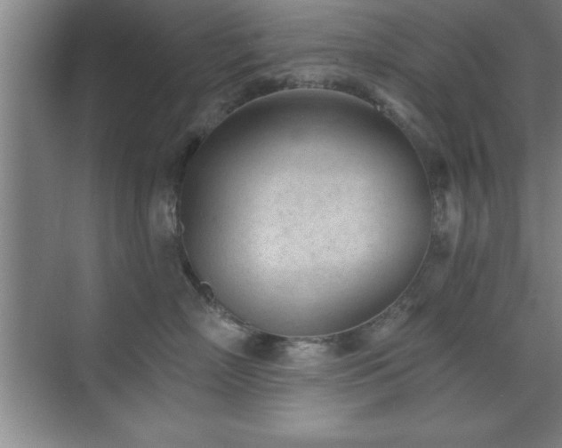 X0000073830718200608101203