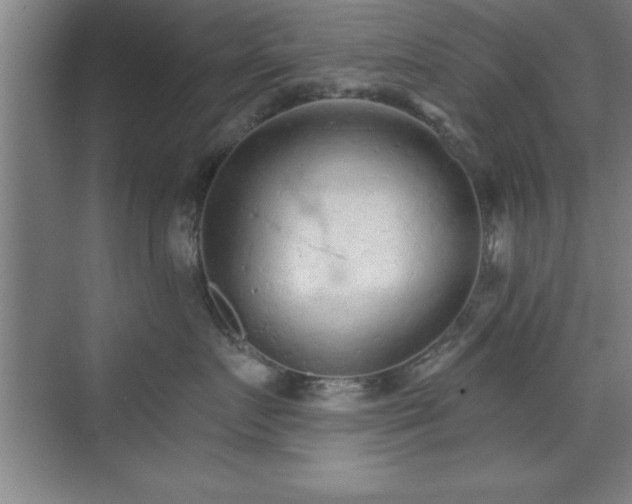 X0000073830719200608101203