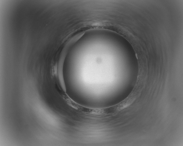 X0000073830720200608101203