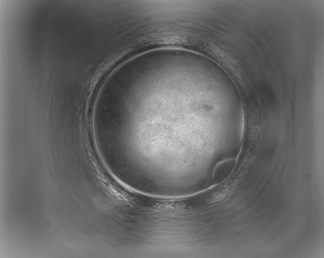 X0000073830721200608101202