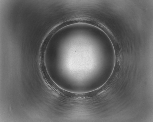 X0000073830724200608101202