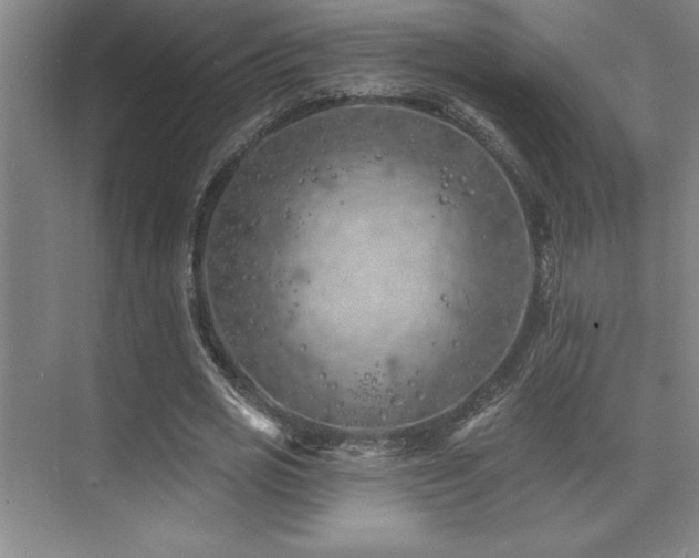 X0000073830725200608101202