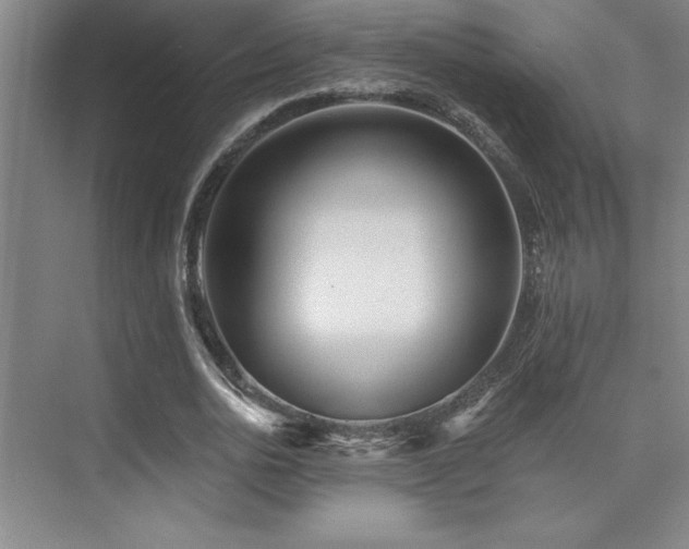 X0000073830726200608101202