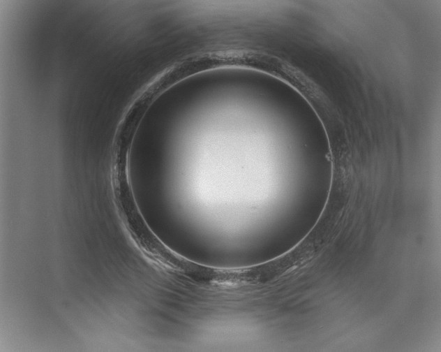 X0000073830728200608101203