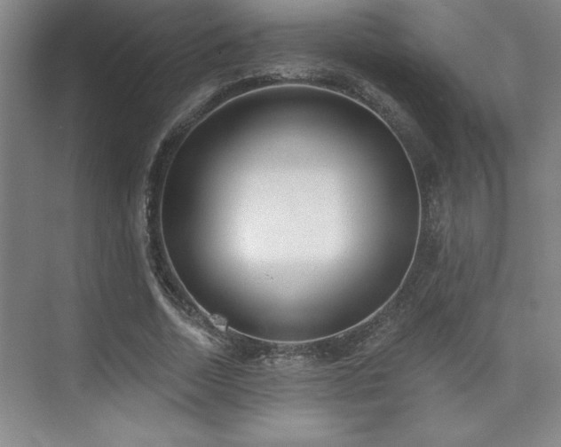 X0000073830730200608101203