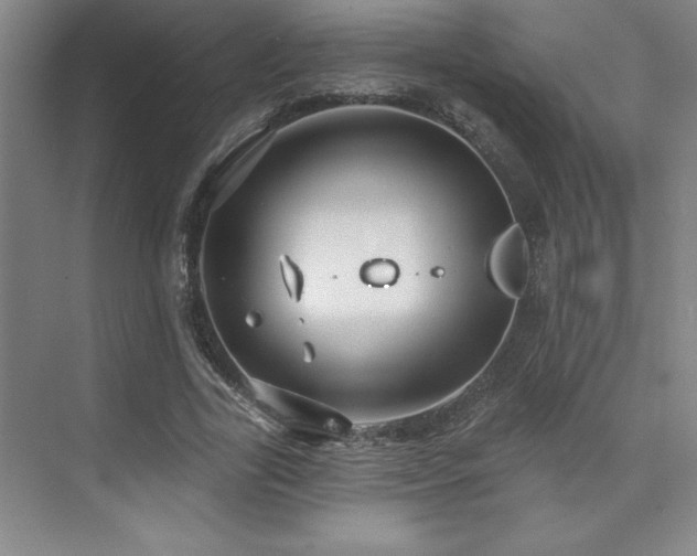 X0000073830731200608101203