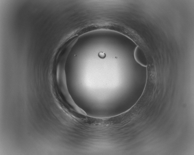 X0000073830732200608101203