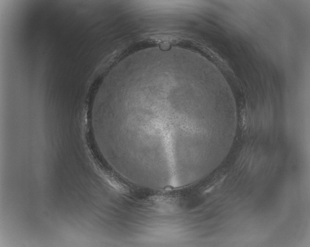 X0000073830733200608101203