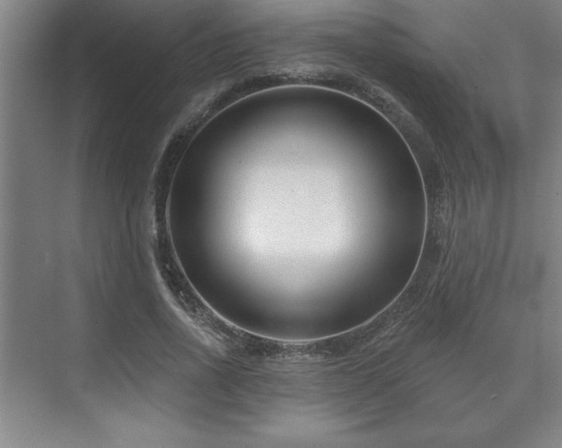 X0000073830734200608101203