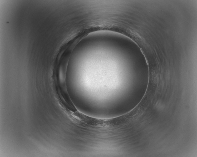 X0000073830735200608101203