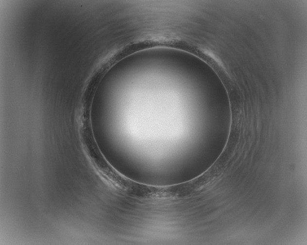 X0000073830736200608101203