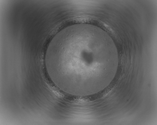 X0000073830737200608101203