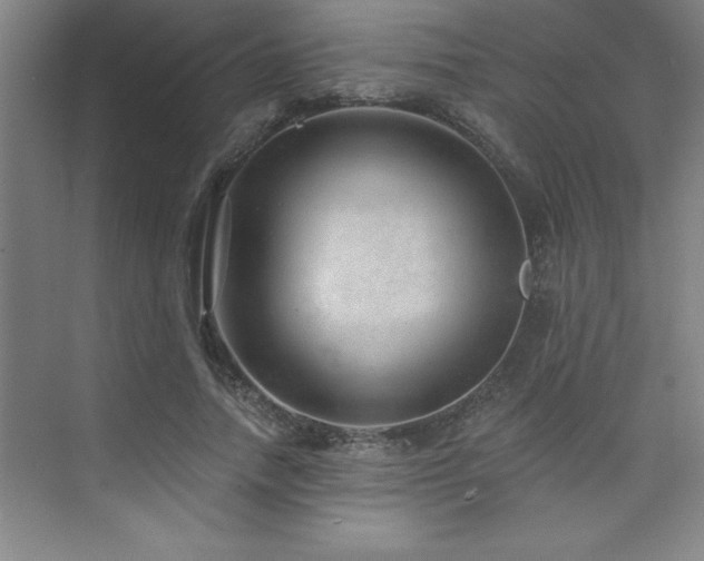 X0000073830738200608101203