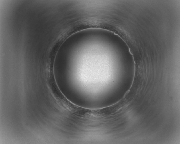 X0000073830739200608101203