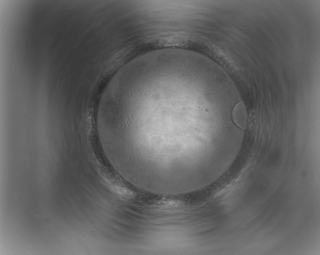 X0000073830741200608101203