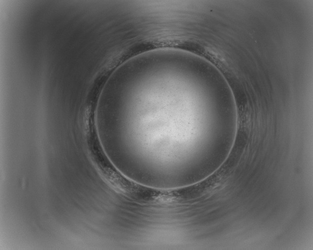 X0000073830742200608101203