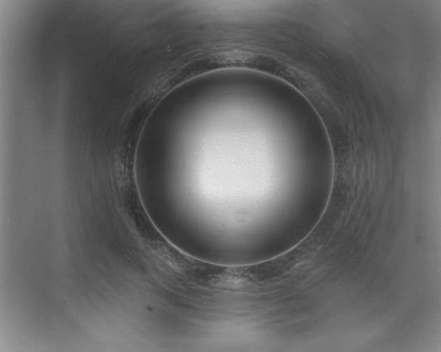 X0000073830743200608101203