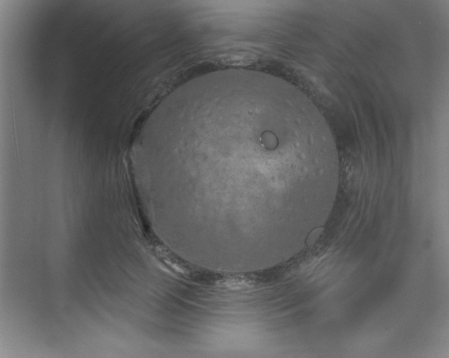 X0000073830745200608101203