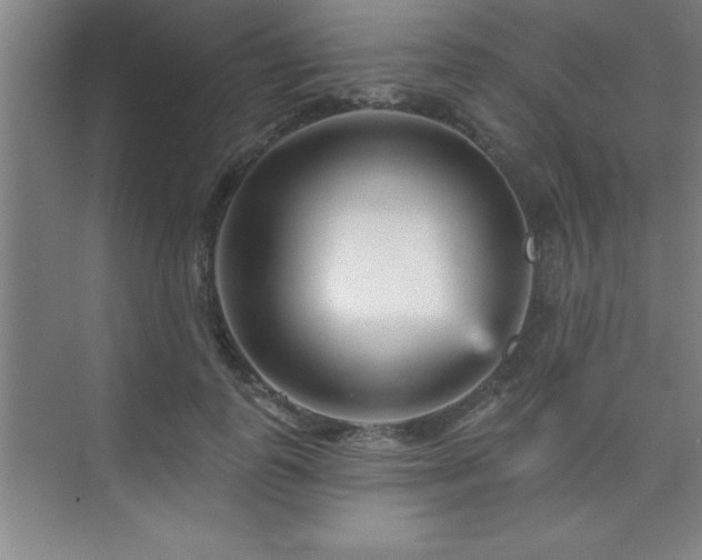 X0000073830747200608101203