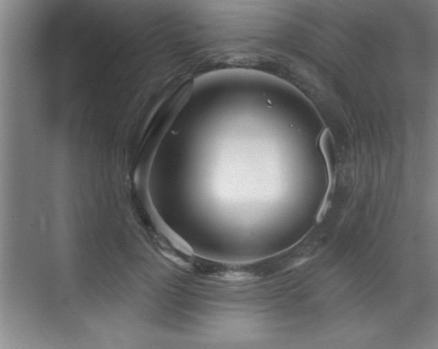 X0000073830748200608101203