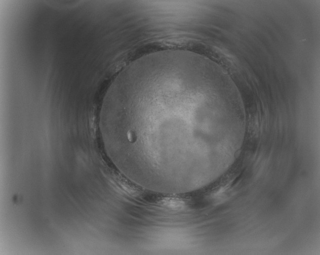 X0000073830749200608101203