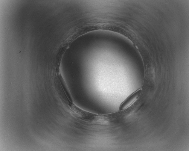 X0000073830750200608101203