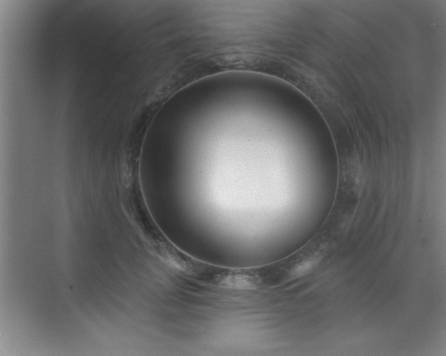 X0000073830751200608101203