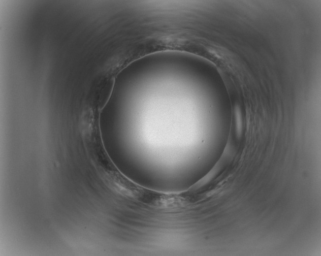 X0000073830752200608101203