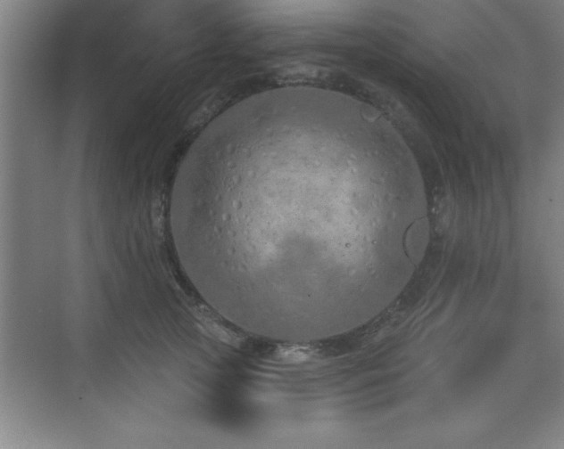 X0000073830753200608101203