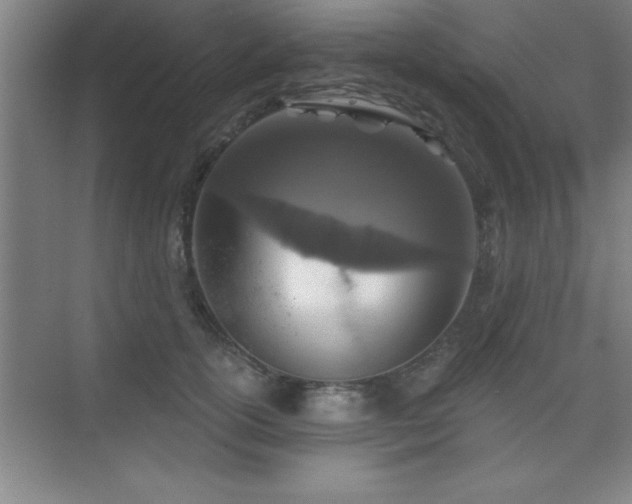 X0000073830754200608101203