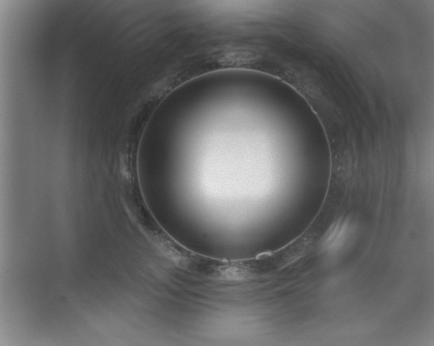 X0000073830755200608101203