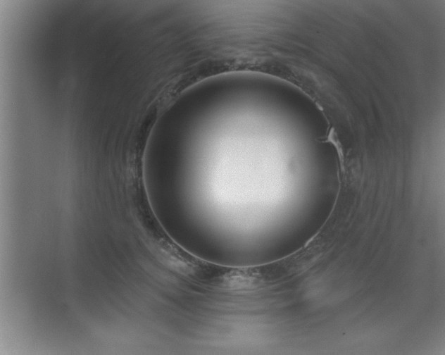 X0000073830756200608101203