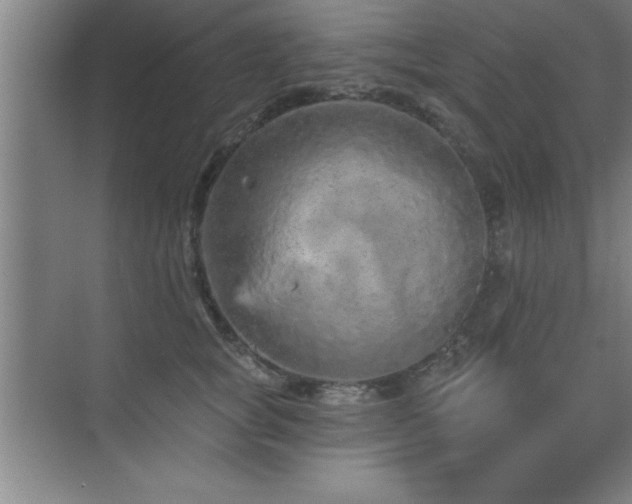 X0000073830757200608101203