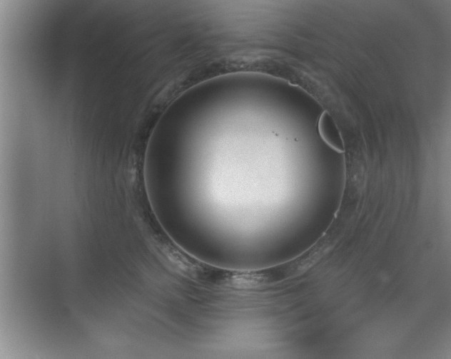 X0000073830758200608101203