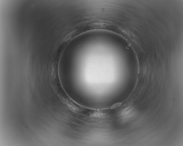 X0000073830759200608101203