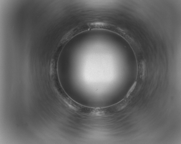 X0000073830760200608101203