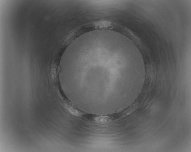 X0000073830761200608101203