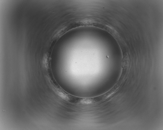 X0000073830762200608101203