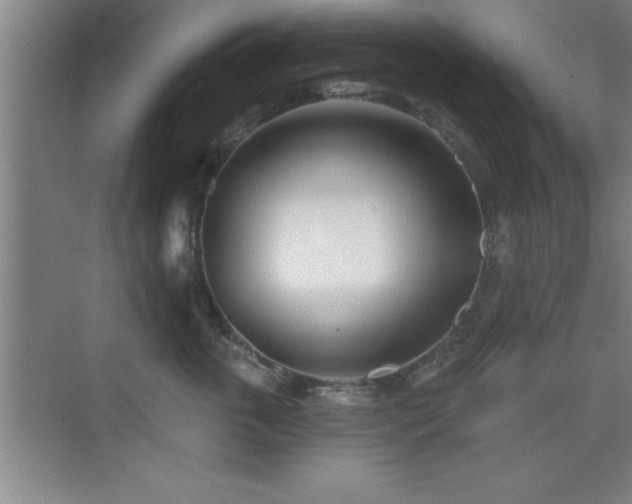 X0000073830763200608101203