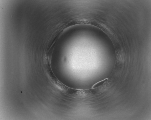 X0000073830764200608101203