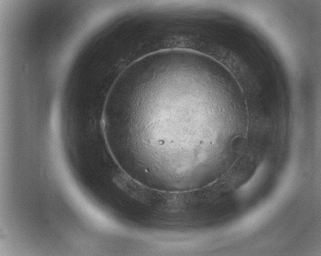 X0000073830765200608101203