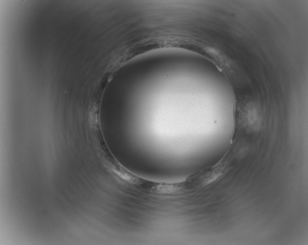 X0000073830766200608101203