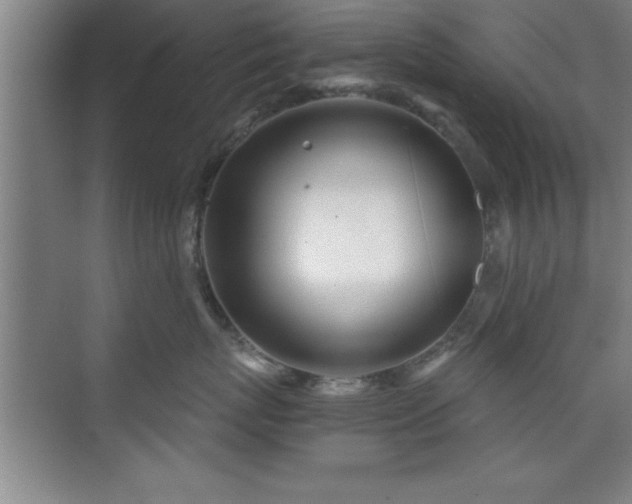 X0000073830767200608101203